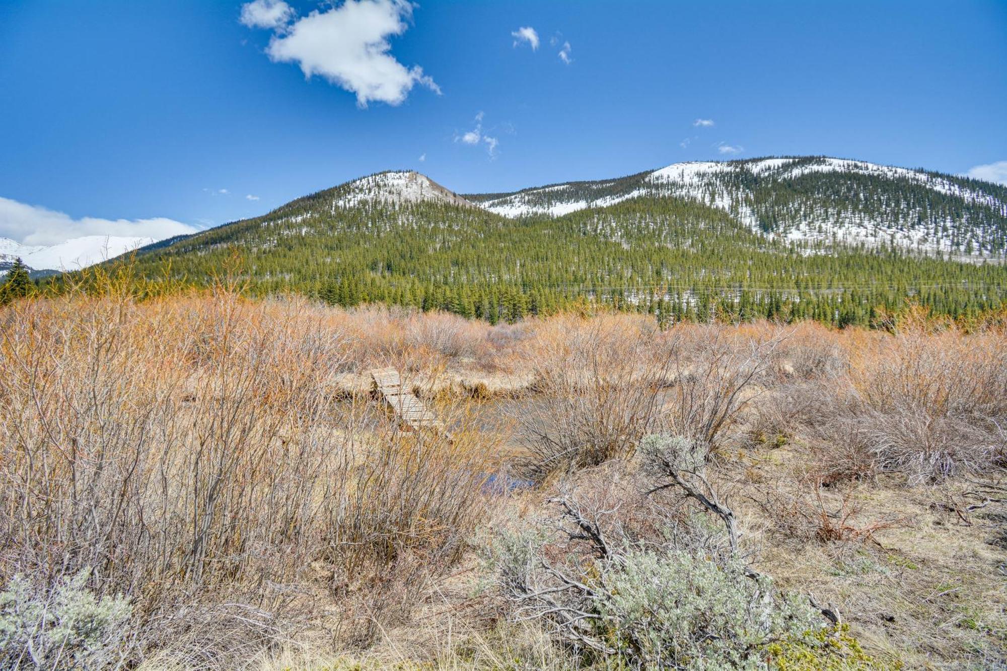 Spacious Leadville Retreat With Hot Tub And Gas Grill Buitenkant foto